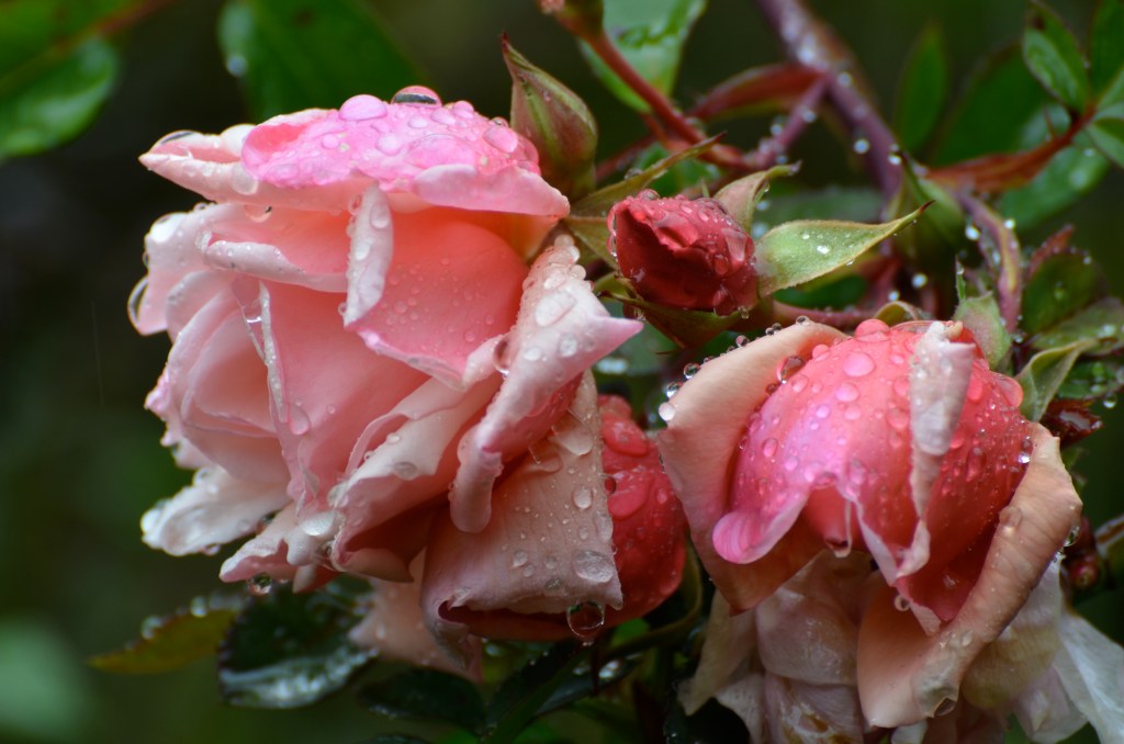 Van rust naar chaos&nbsp;haha