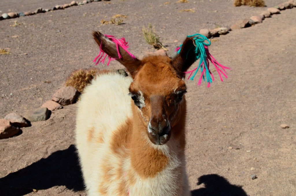 Salar de Uyuni