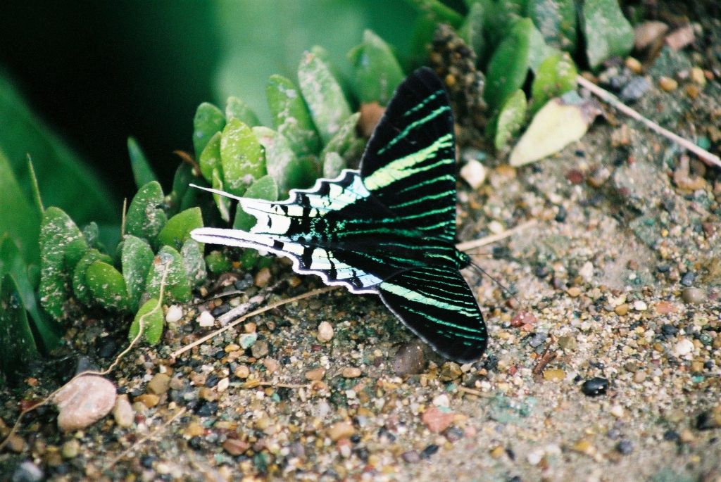 Het onvergetelijke Cuyabeno N.P Part&nbsp;1