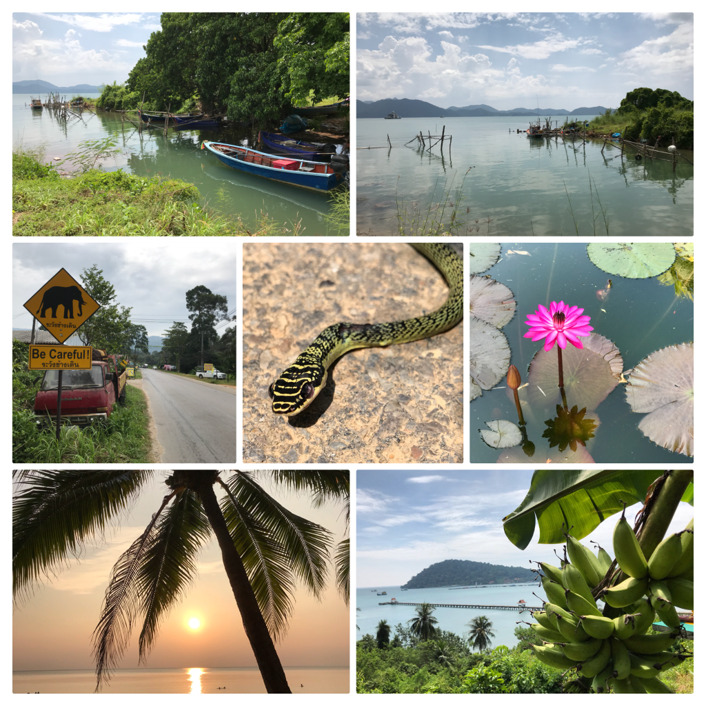 Relaxen en scooteren op Koh&nbsp;Chang