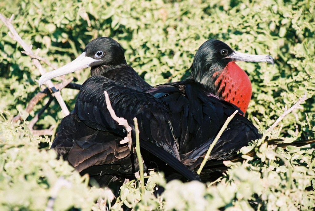 Ecuador en Galapagos deel&nbsp;4