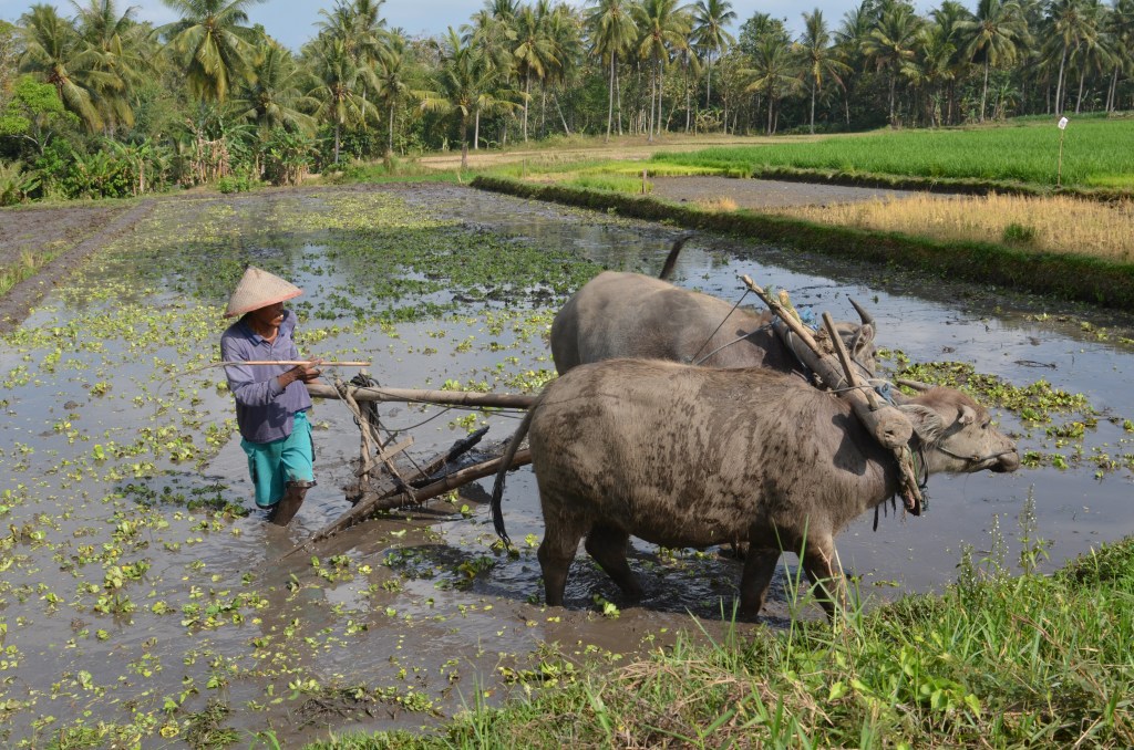 Ieder huisje heeft&nbsp;zijn…..