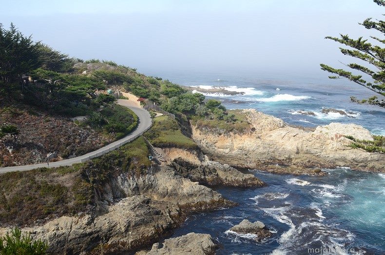 Op zeeolifantensafari…..