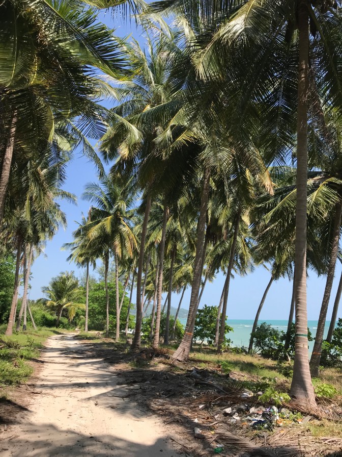 De weg naar Coco Beach Nar