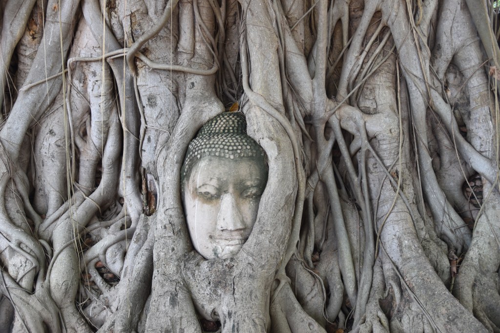 Zo lang vakantie en toch zo&nbsp;voorbij