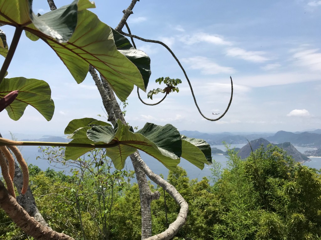 Brazilië: een valse&nbsp;start