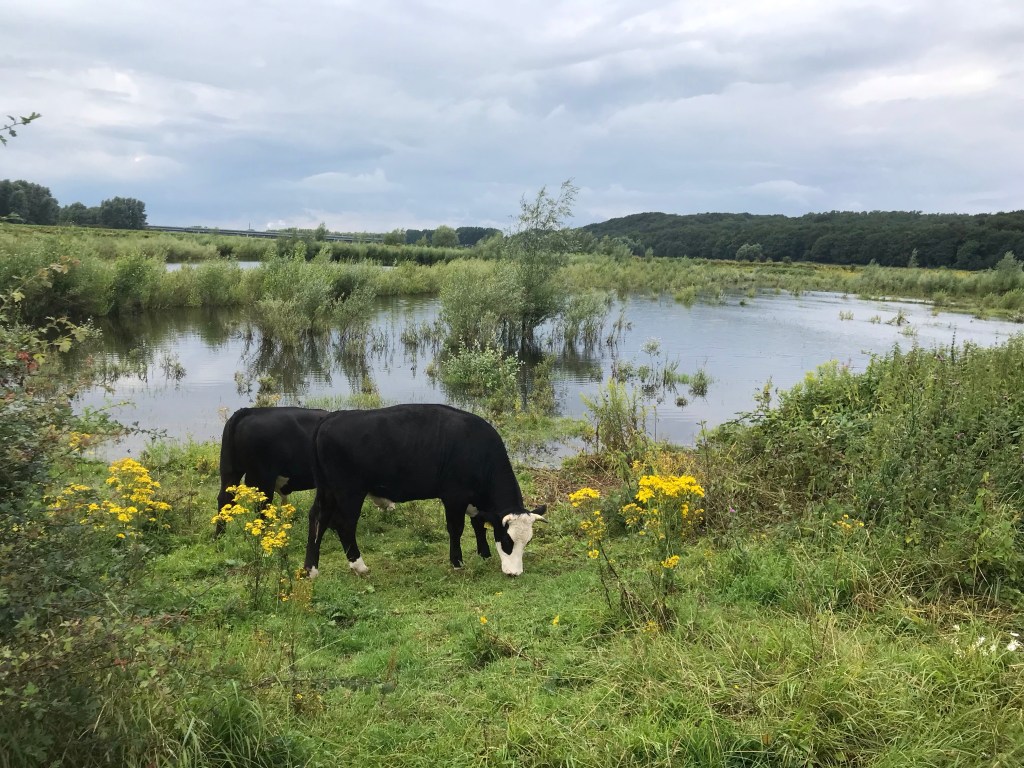 Klompenpadroute Dorenweertsepad