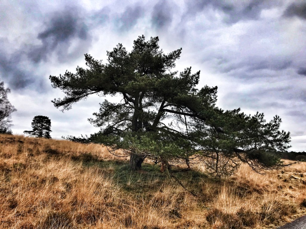 Zwerfkeienroute Loenermark