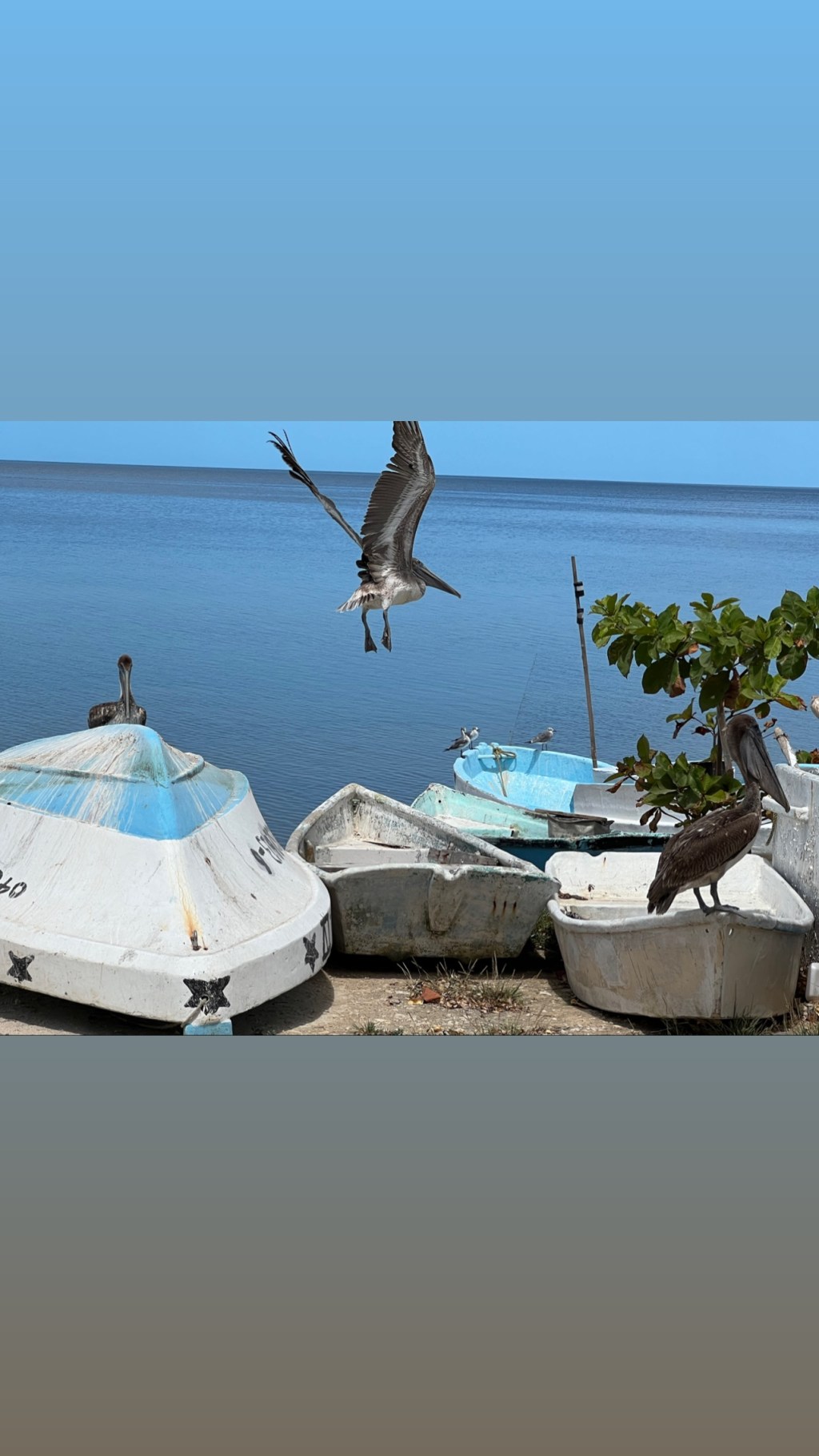 Vlog: Een paar dagen&nbsp;Campeche