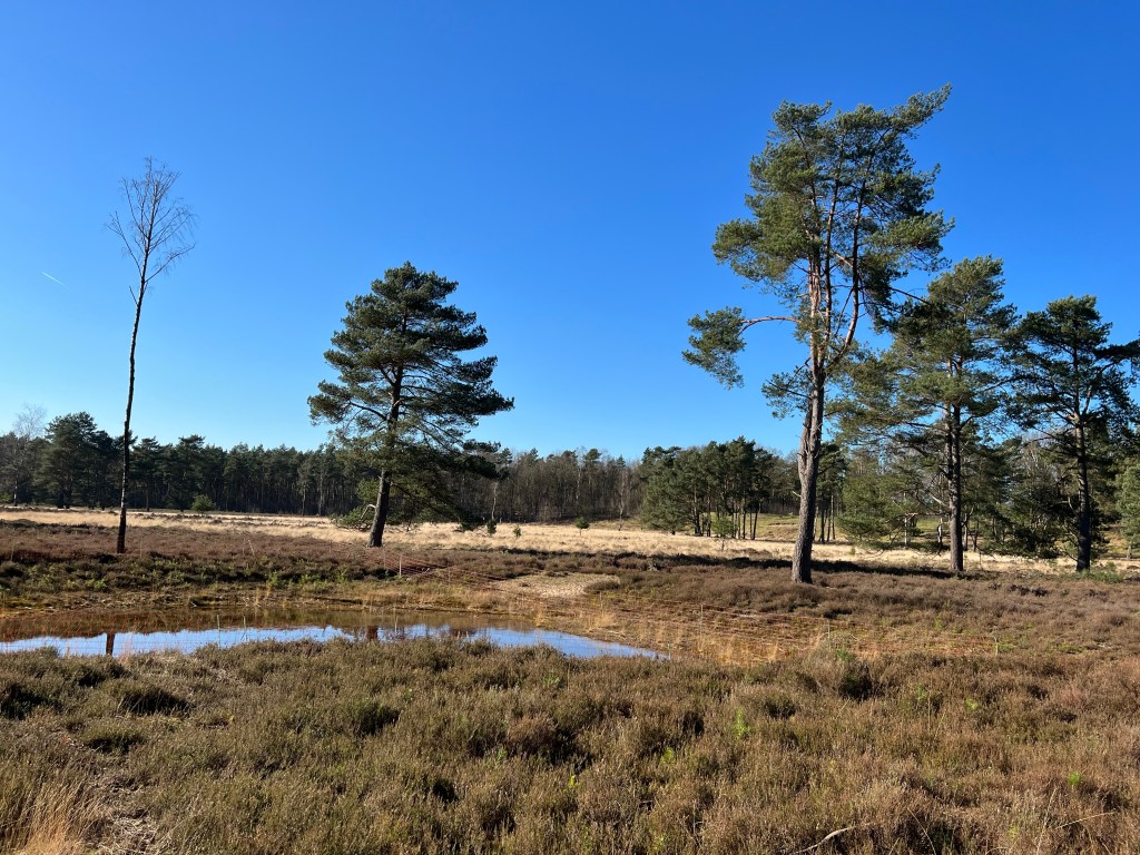 Kozakkenput wandelroute