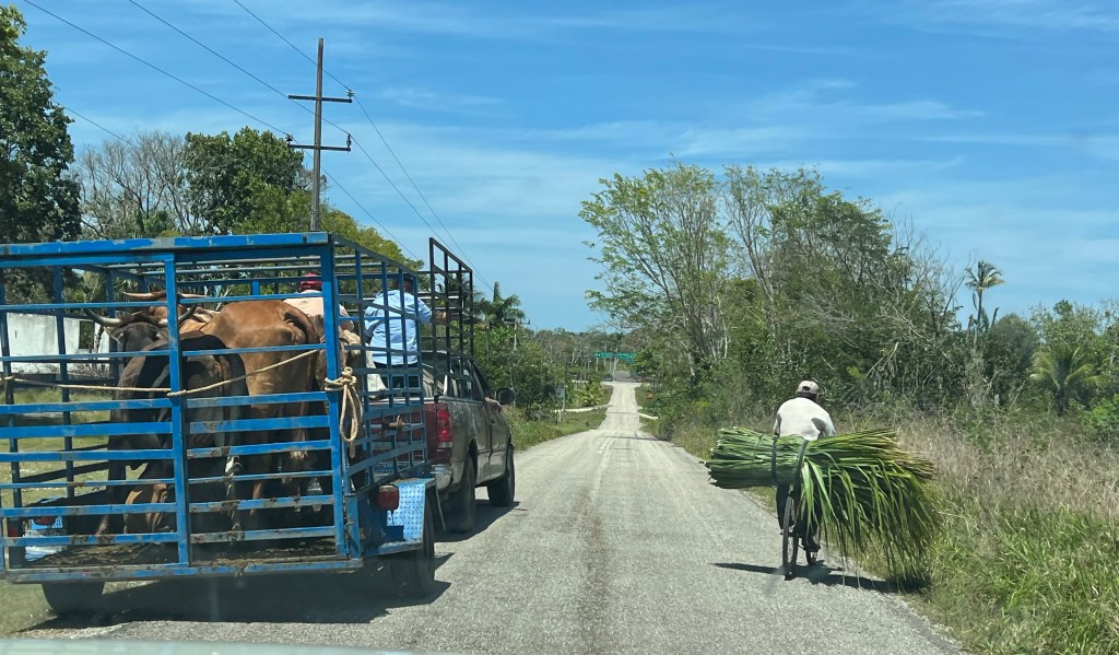 Vlog: Villahermosa en&nbsp;Chetumal