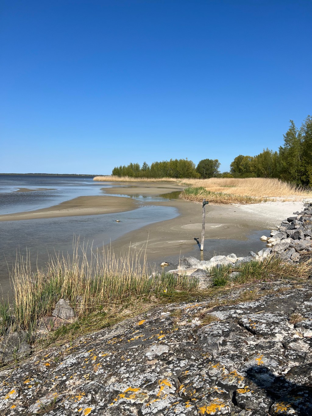 Vlog Uitheiingpolder