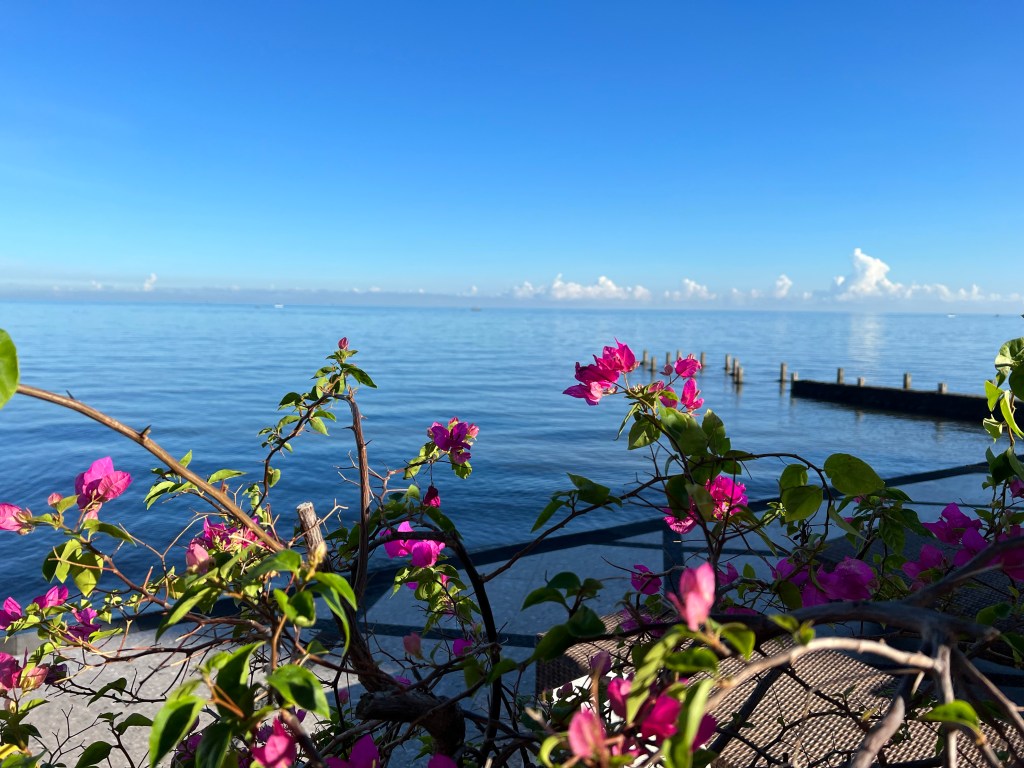 Vlog Lovina beach en&nbsp;omgeving