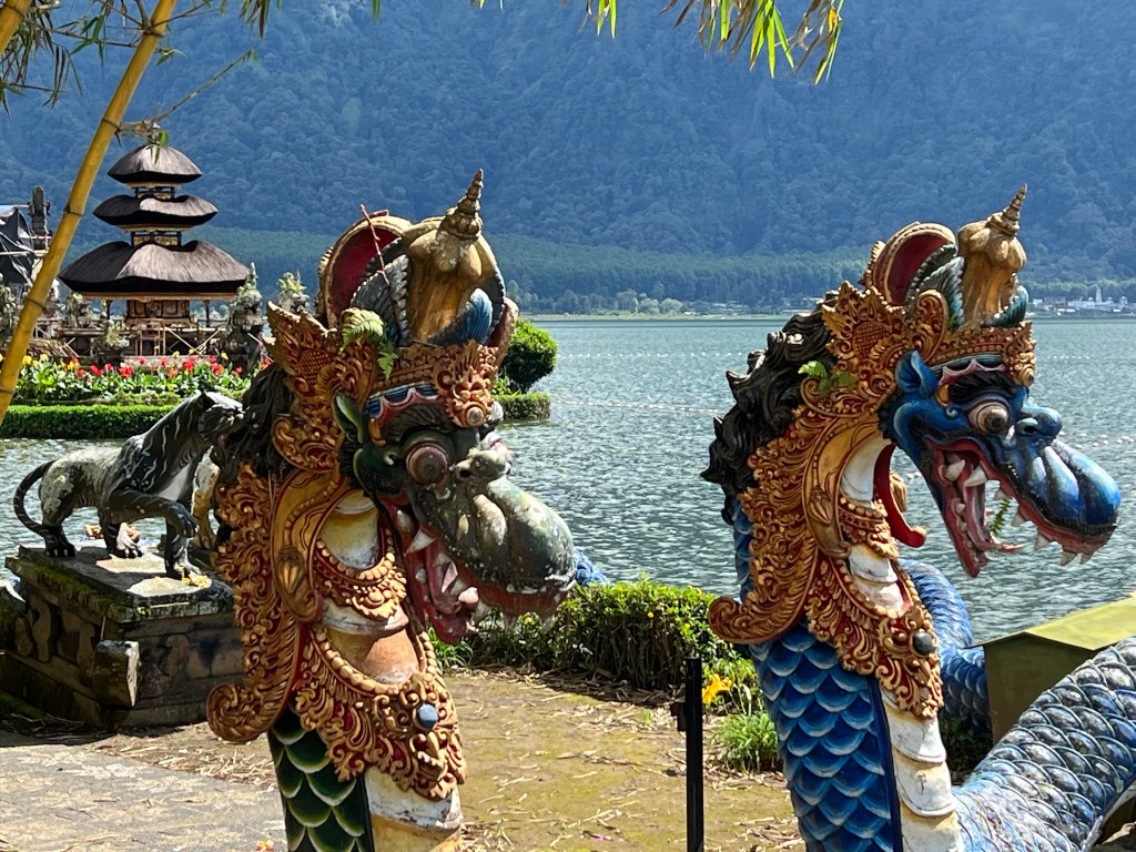 Vlog excursie vanuit&nbsp;Lovina