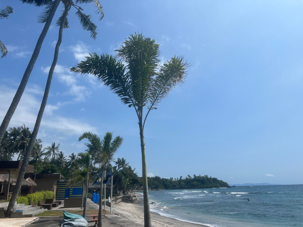 Vlog: Scooteren op&nbsp;Lombok