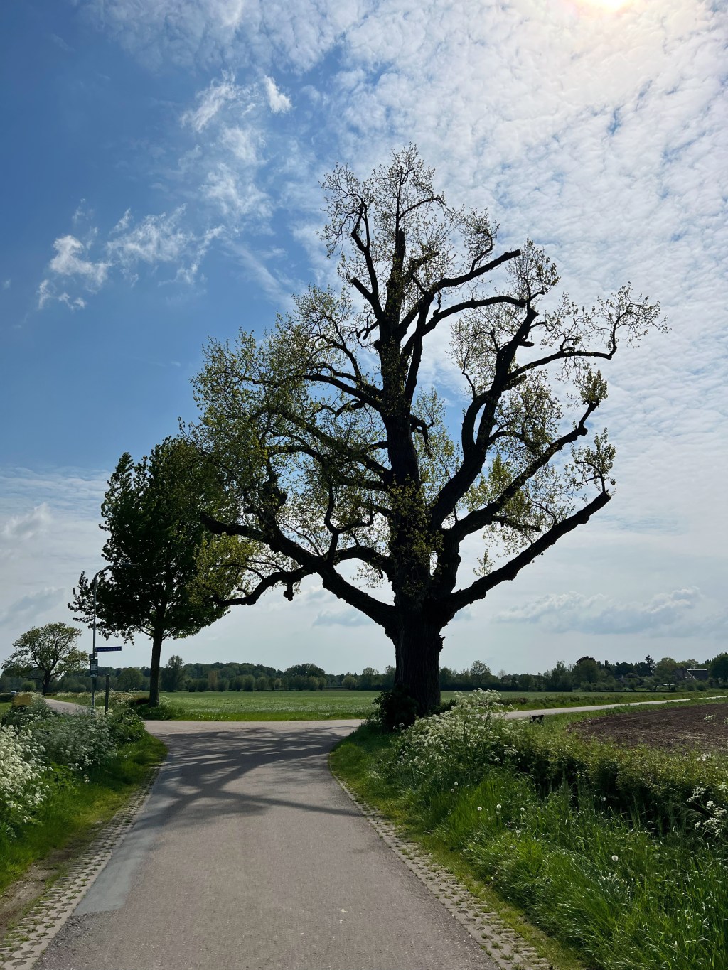 Klompenpad Beekweidenpad