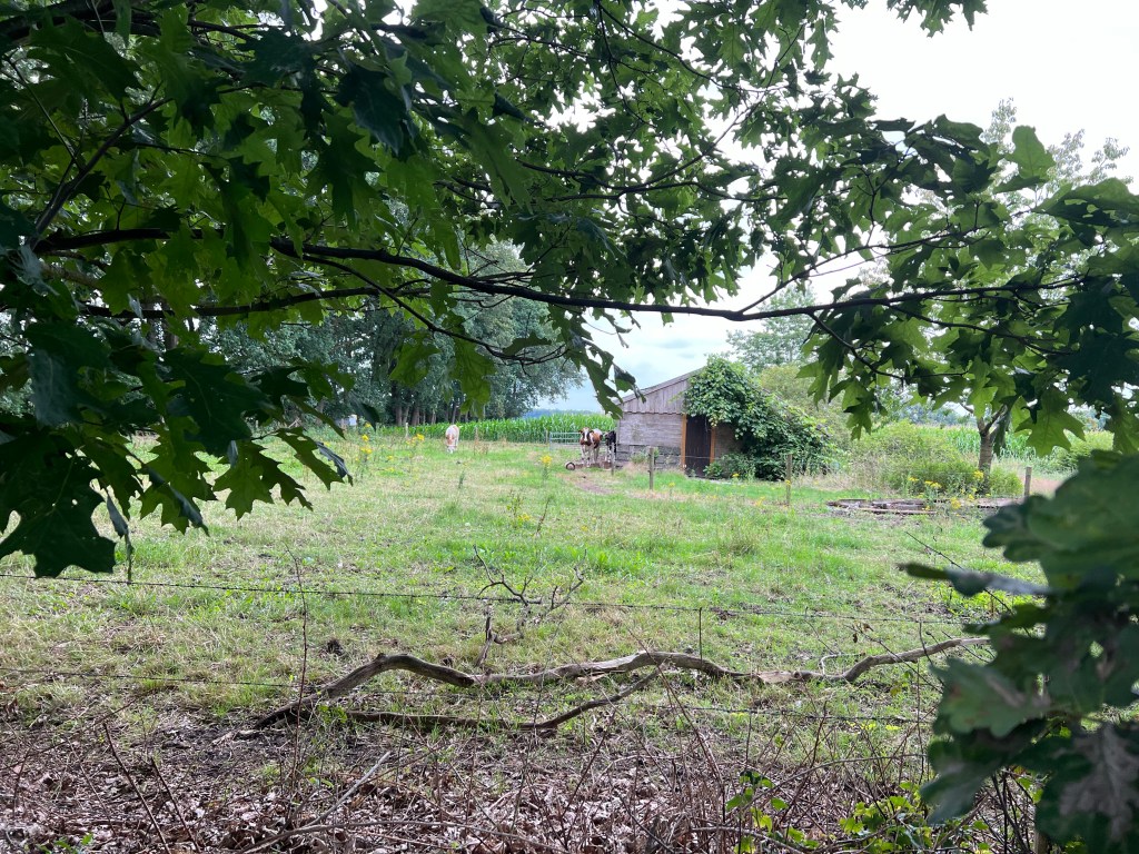 Klompenpad Uddelermeer